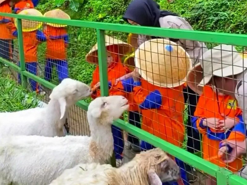 Green Farm